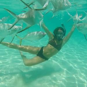 Meet your Posher, Casey